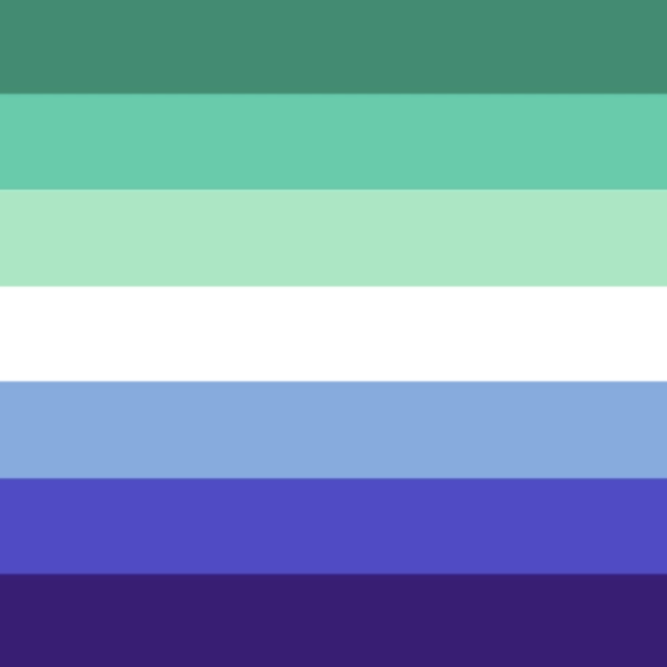 Men's Rights Flags Guide to Pride Flags | Adirondack North Country Gender Alliance